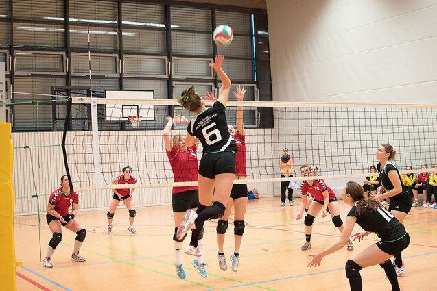Spielerin springt zum Aufschlag, w&auml;hrend Teamkolleginnen und Gegnerinnen am Volleyballnetz stehen. Sporthalle im Hintergrund.